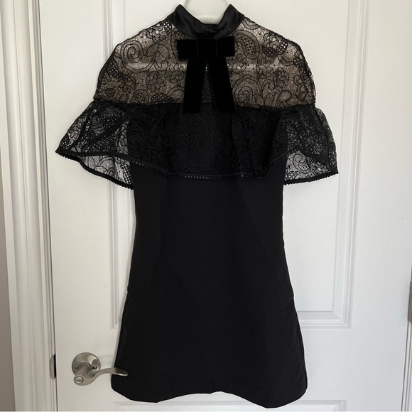 SELF-PORTRAIT
Line Lace Mini Dress - Picture 12 of 15